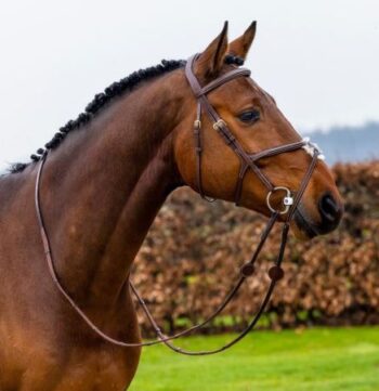 Trust Oslo Mexican Noseband Hodelag