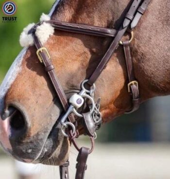 Trust Pelham Delta Long