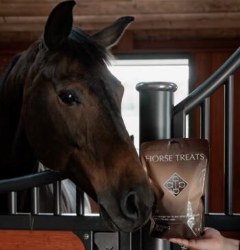 Grooming Deluxe Horse Treats