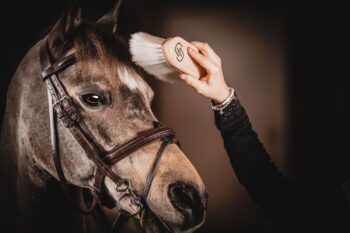 ONE Equestrian Børste Super Soft