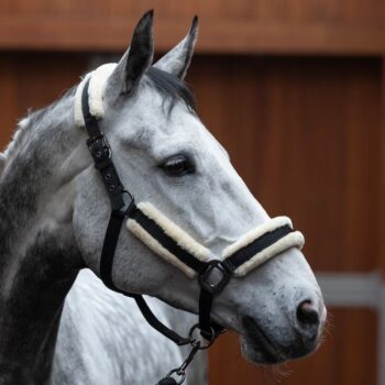 Kingsland KL Lexie Grime med fake fur og Leietau