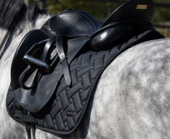 Kingsland KL Lexie Dressage Saddle Pad