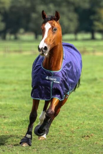 Bucas Smartex Rain Dekken