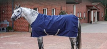 Bucas Freedom Stable 150 g