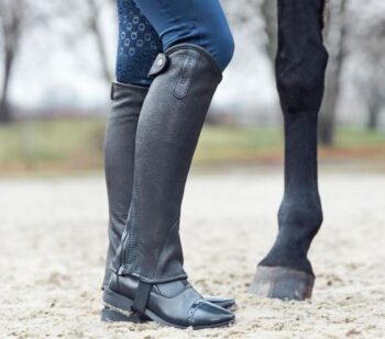 Equipage Burnley Chaps