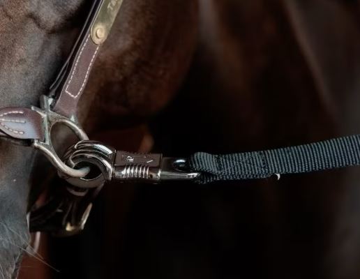 Kentucky Horse Box Lead & Cross Ties Safety / Sikkerhet