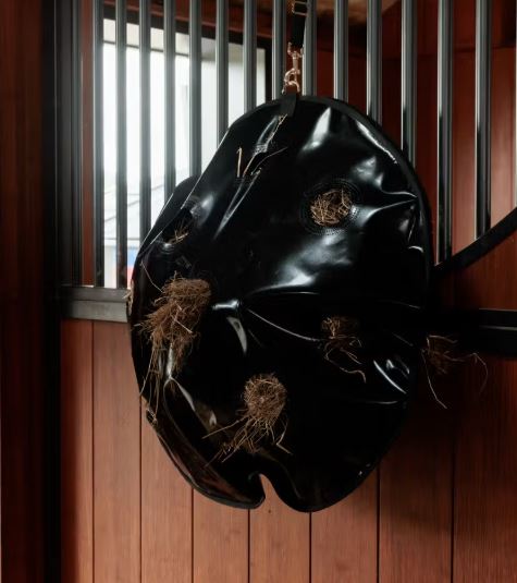 Grooming Deluxe Play & Haybag Slowfeeder Round