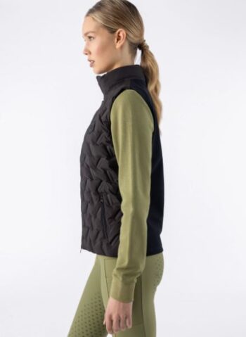 Equiline Eqetras Dame Dunvest