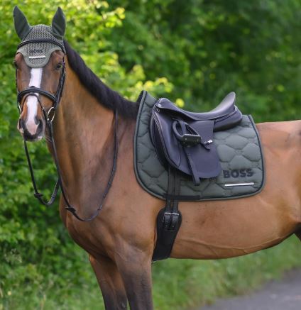 Boss Equestrian Cambridge Dressur Sjabrak