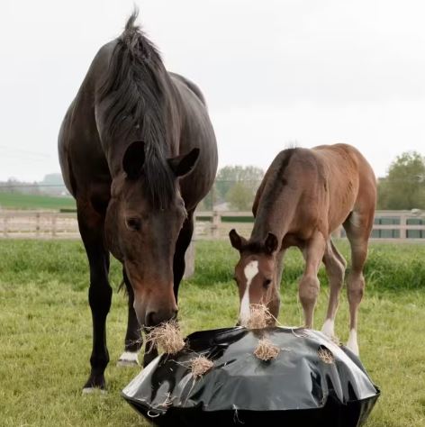 Grooming Deluxe Play & Haybag Slowfeeder Rund XL