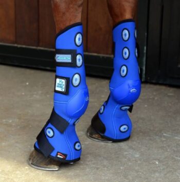 Veredus Magnetik 4 hours Stall Belegg Bakben