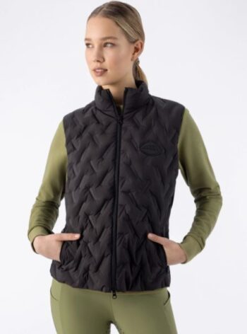 Equiline Eqetras Dame Dunvest