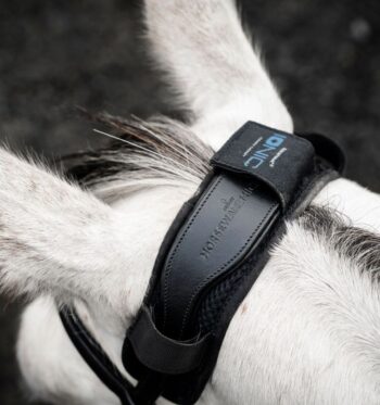 Horseware Ionic Nakkebeskytter