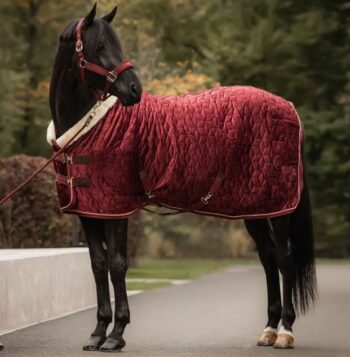 Kentucky Show Rug Velvet