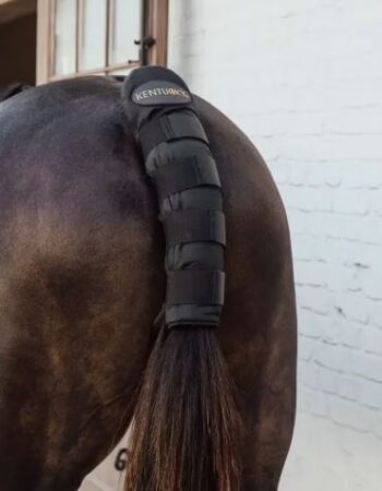 Kentucky Tailguard Pro