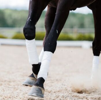 Incrediwear Theraputic Leg Wraps/Bandages