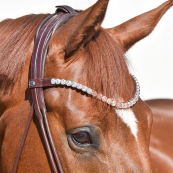 By Equality Line Tynt Pannebånd m/Store Hvite Crystaller