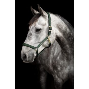 Protector Derry Grime