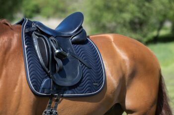 Kingsland KLLucca Cooling Dressage Saddle Pad