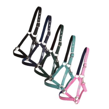 Horse Unique Basic Grime