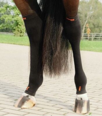 Incrediwear Circulation Hock Sleeves