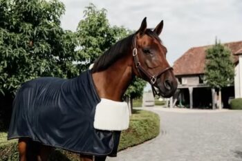 Kentucky BIB Chest Protection Sheepskin