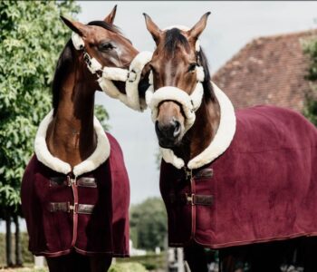 Kentucky Fleece Show Rug Heavy