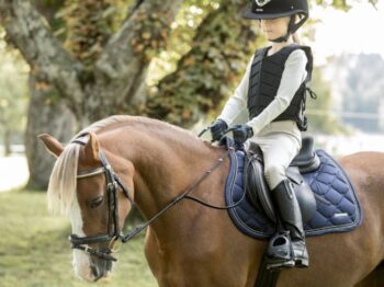 Lippo Molly Barne Tøyle