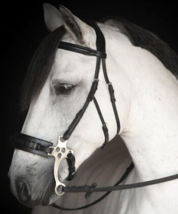 Lippo Supreme Chester Hackamore Bridle