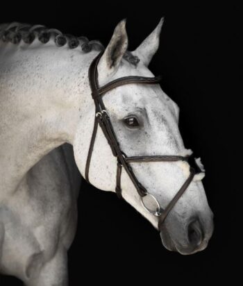 Lippo Supreme Mexican Hodelag