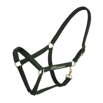 Protector Derry Grime