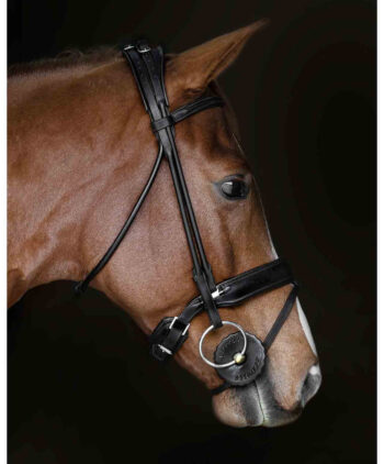 Acavallo Gel Bit Guard