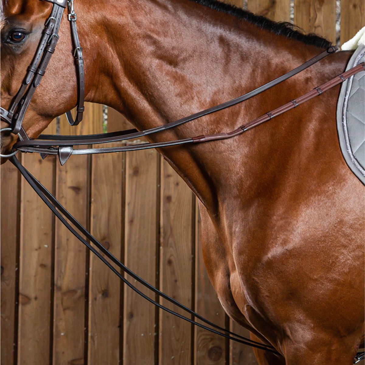 Dyon Full Leather Draw Reins 13mm Working By Dyon / Hjelpetøyler