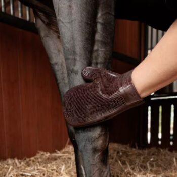 Grooming Deluxe Rubber Glove / Pussehanske Gummi