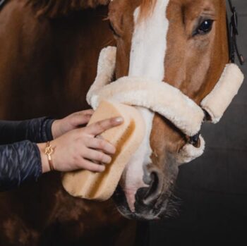 One Equestrian svamp vakumpakket 210x110x70 mm