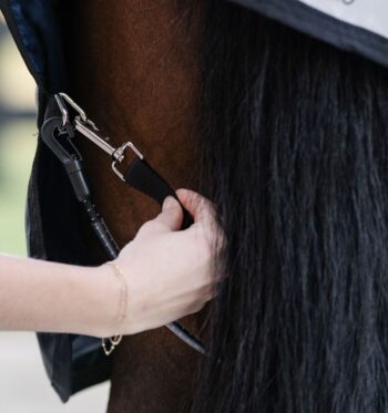 Horseware Elastisk Beinsnor