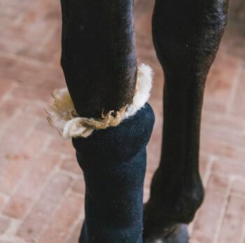 Grooming Deluxe Therapeutic Wool