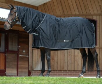 Bucas Shamrock Power Full Neck Dekken