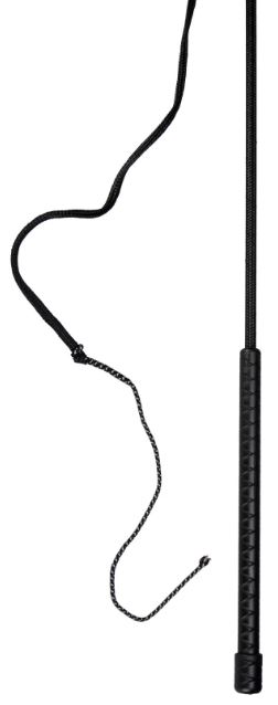 Heimer Longeringspisk 180cm