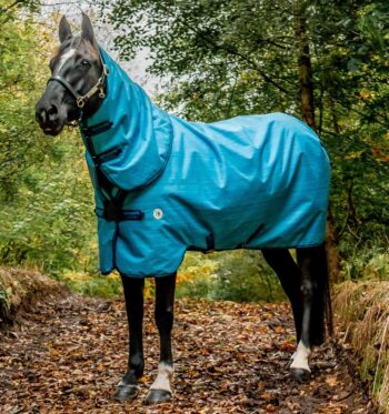Horseware Amigo 900D Revive Plus Turnout 50g