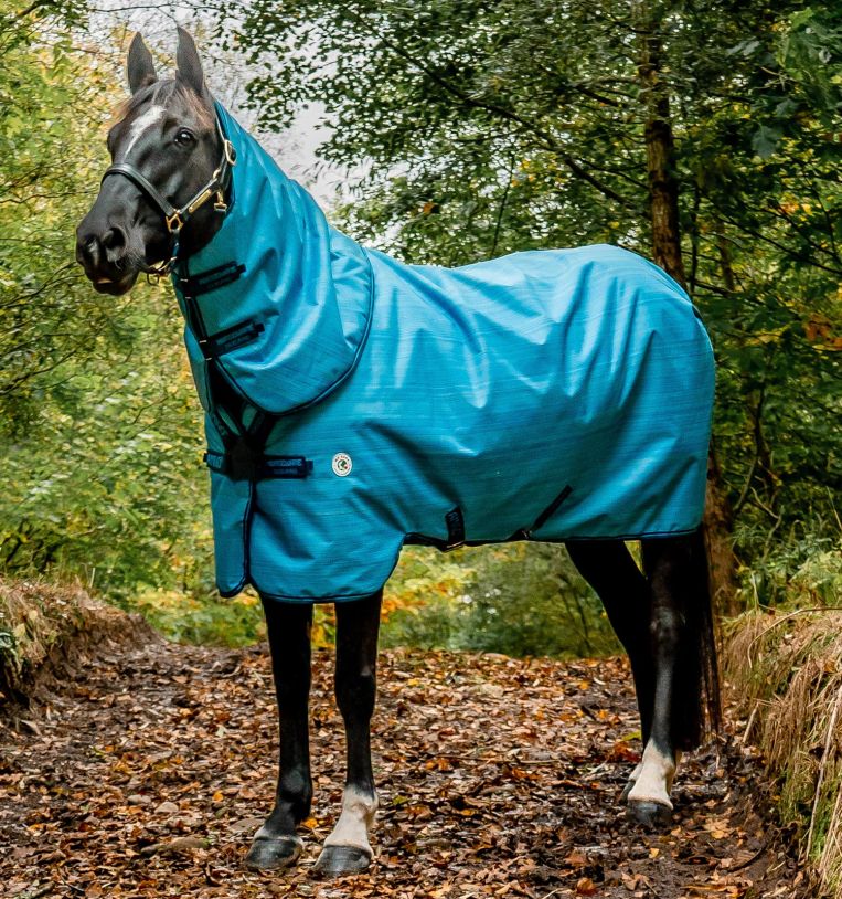 Horseware Amigo 900D Revive Plus Turnout 50g
