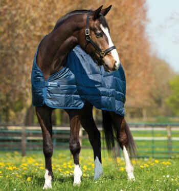 Horseware Liner 200g
