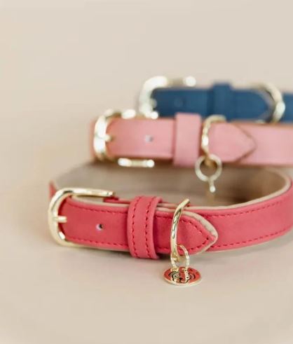 Kentucky Dog Collar Vegan Leather