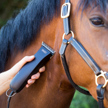 Wahl Avalon NiHM Klippemaskin
