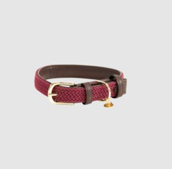 Kentucky Plaited Nylon Dog Collar